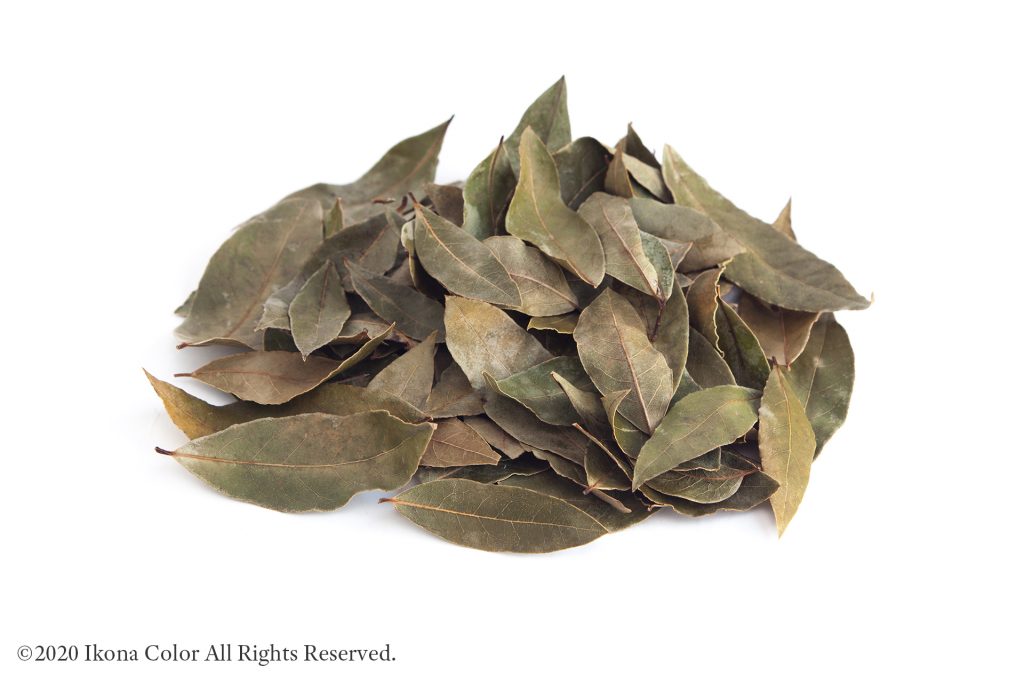 月桂樹, ローレルの葉を乾燥させる / Dried Laurel Leaves